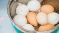 Attachment for Coba Biasakan Makan 2 Telur Rebus Setiap Hari, Manfaatnya Segudang untuk Kesehatan