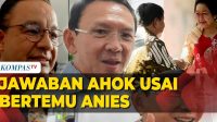 Attachment for Jawaban Ahok Usai Bertemu Anies Baswedan hingga Hubungan Megawati-Prabowo